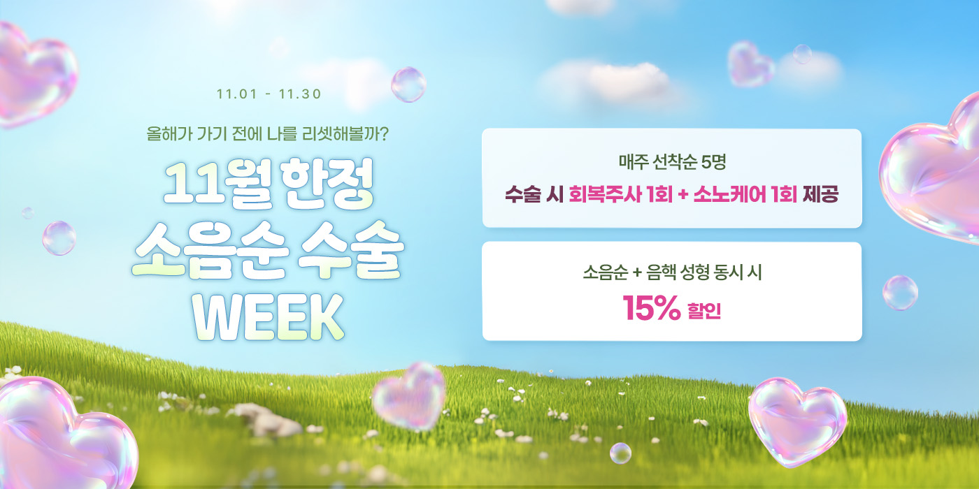 11월 한정 소음순 수술 혜택